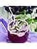12 oz 12 Pack Glass Soda H52400