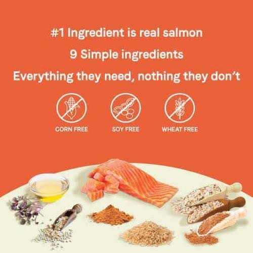 Salmon & Oatmeal Dry Dog Food D813