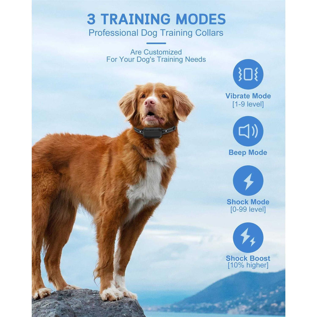 Dog Training Collar with Remote P8584