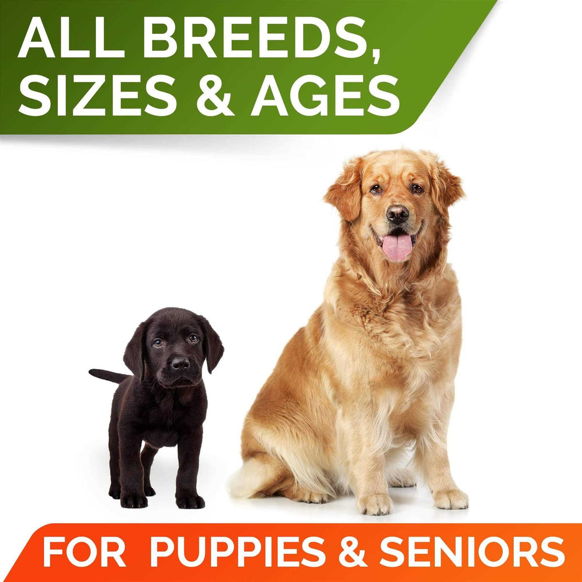 Pumpkin High Fiber Digestive Supplement for Dogs B8863
