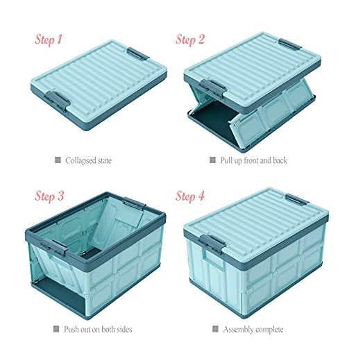 Collapsible Storage Bins with Lids 30L, Folding Plastic Stackable Utility Crates 2-Pack, Oyster White Q660569