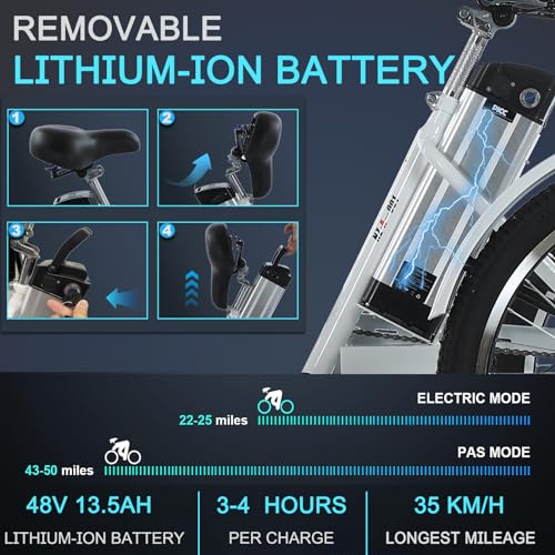 24" 3 Wheel Electric Tricycle with 350w Motor & Removable 36V 12Ah Lithium Battery C285