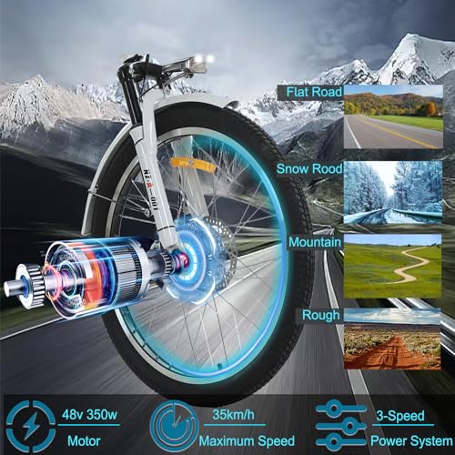 24" 3 Wheel Electric Tricycle with 350w Motor & Removable 36V 12Ah Lithium Battery C285