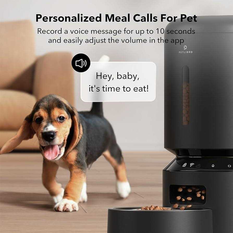 Automatic Pet Feeder 5L S434091