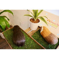 Pet Supplies P543298