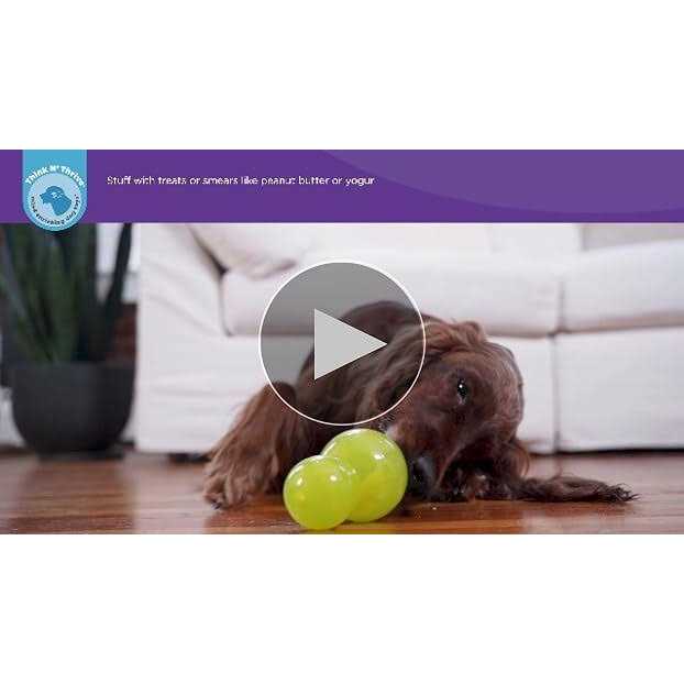 Green Dog Toy A210137