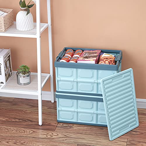Collapsible Storage Bins with Lids 30L, Folding Plastic Stackable Utility Crates 2-Pack, Oyster White Q660569