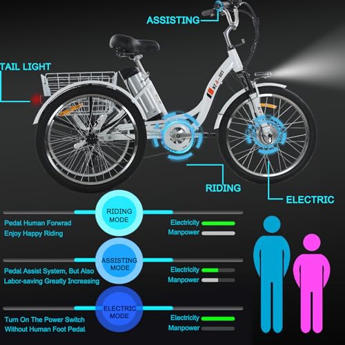 24" 3 Wheel Electric Tricycle with 350w Motor & Removable 36V 12Ah Lithium Battery C285