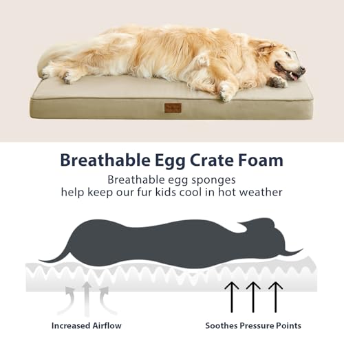 Waterproof Orthopedic Dog Bed with Removable Washable Cover H916