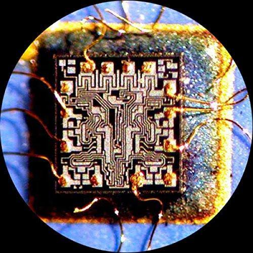 Binocular Stereo Zoom Microscope with WH10x Eyepieces Y500620