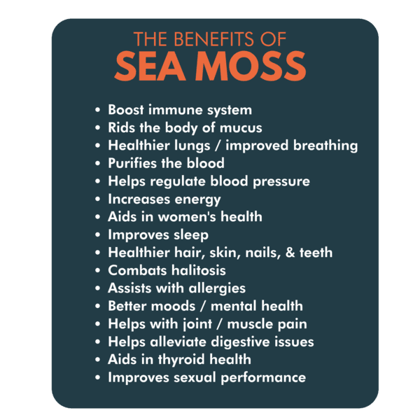 Organic Wildcrafted Irish Sea Moss Vegan Capsules A3036