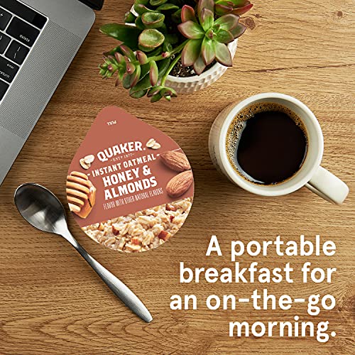 Protein Maple Brown Sugar Instant Oatmeal Cups N8758