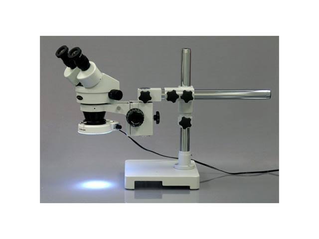 Binocular Stereo Zoom Microscope with WH10x Eyepieces Y500620