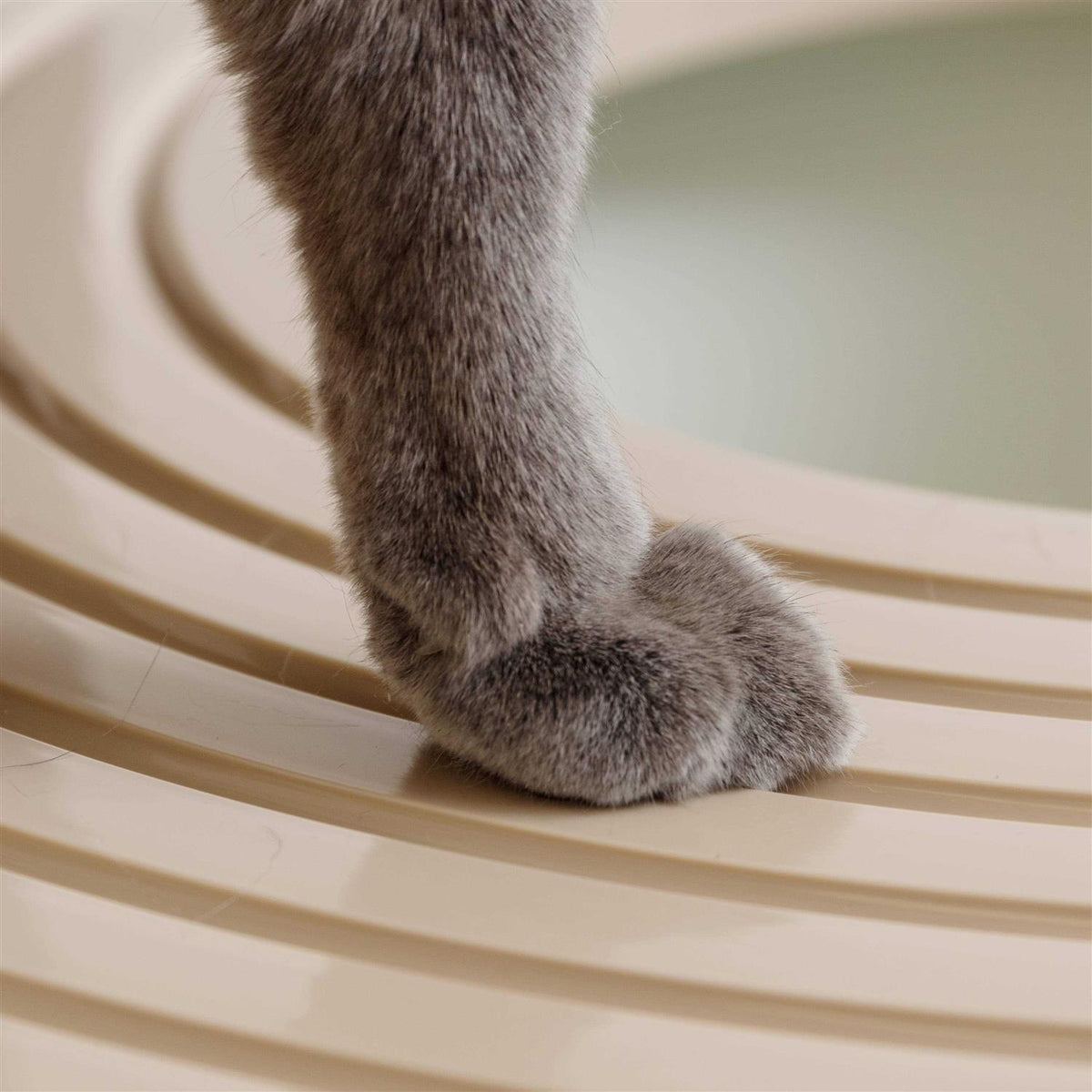 Top Entry Cat Litter Box with Scoop C647