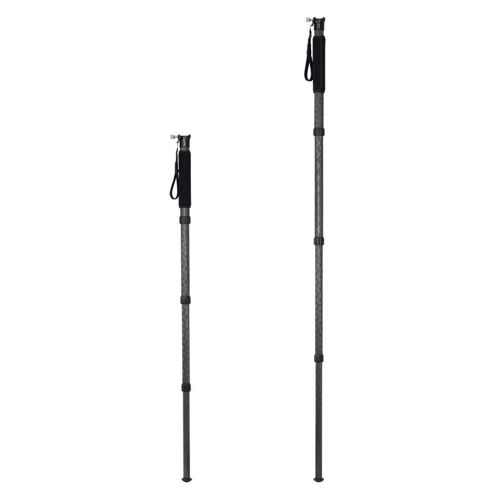 Carbon Fiber Monopod with Arca-Type Clamp T1104