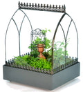 Glass Terrarium Plant Container E129975
