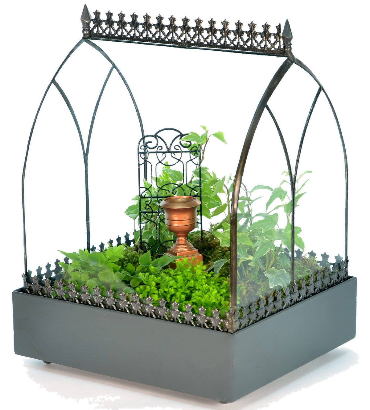 Glass Terrarium Plant Container E129975