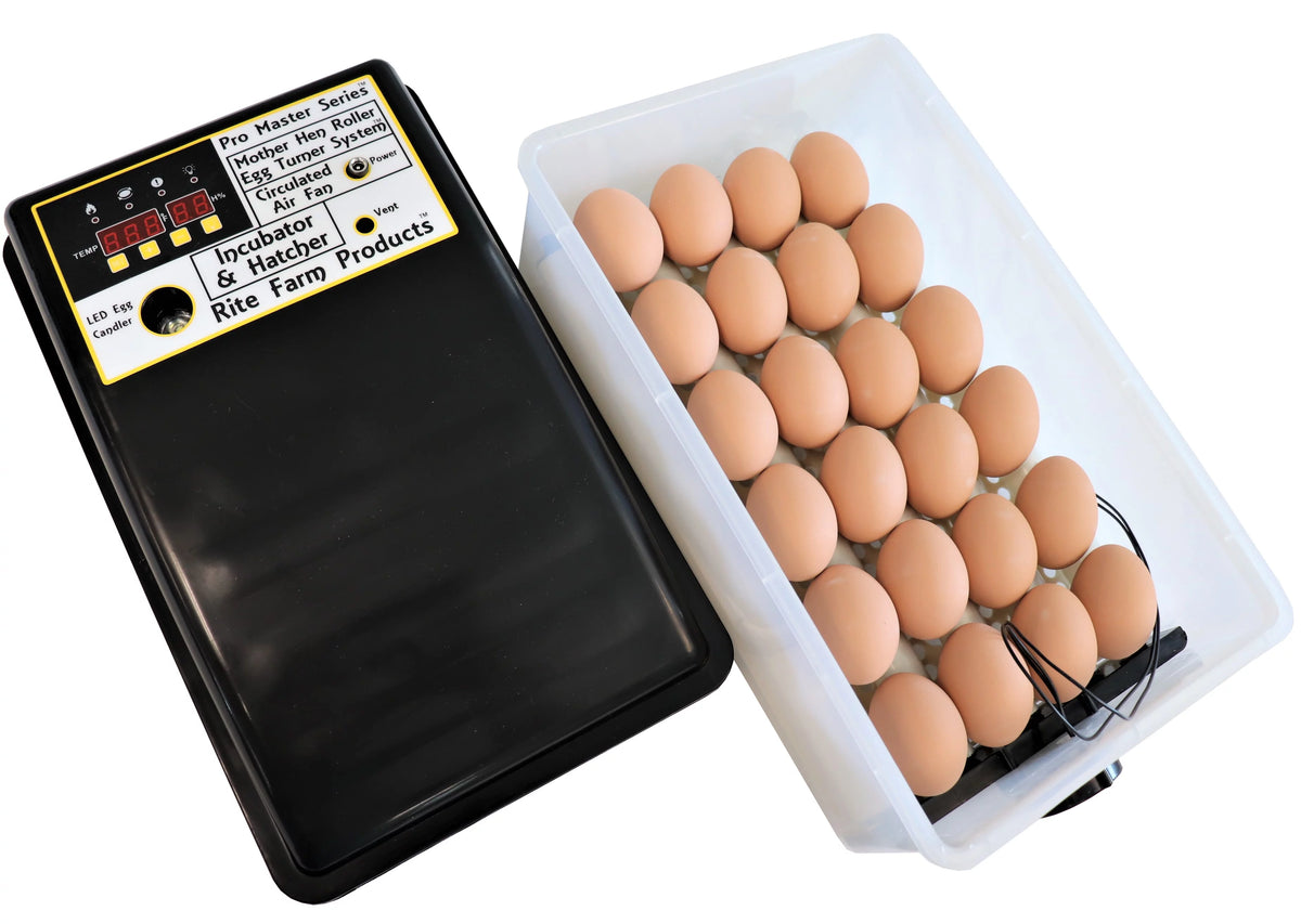 24 Chicken Egg Incubator & Hatcher Turner J3952