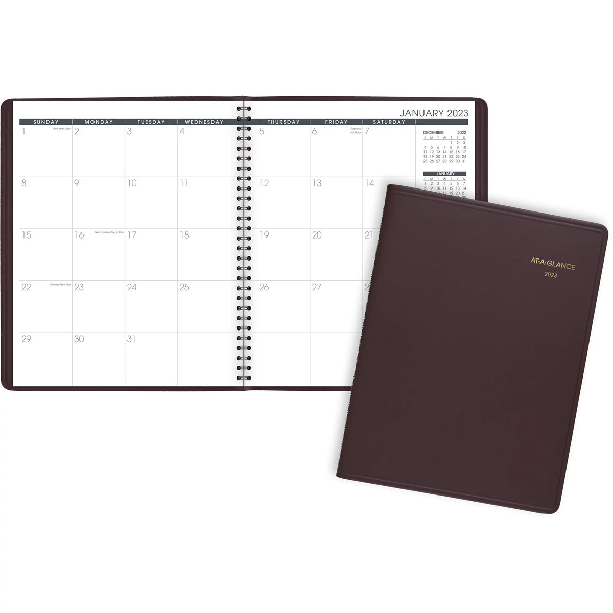 Monthly Planner 9 x 11 Y465425