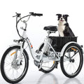 24" 3 Wheel Electric Tricycle with 350w Motor & Removable 36V 12Ah Lithium Battery C285