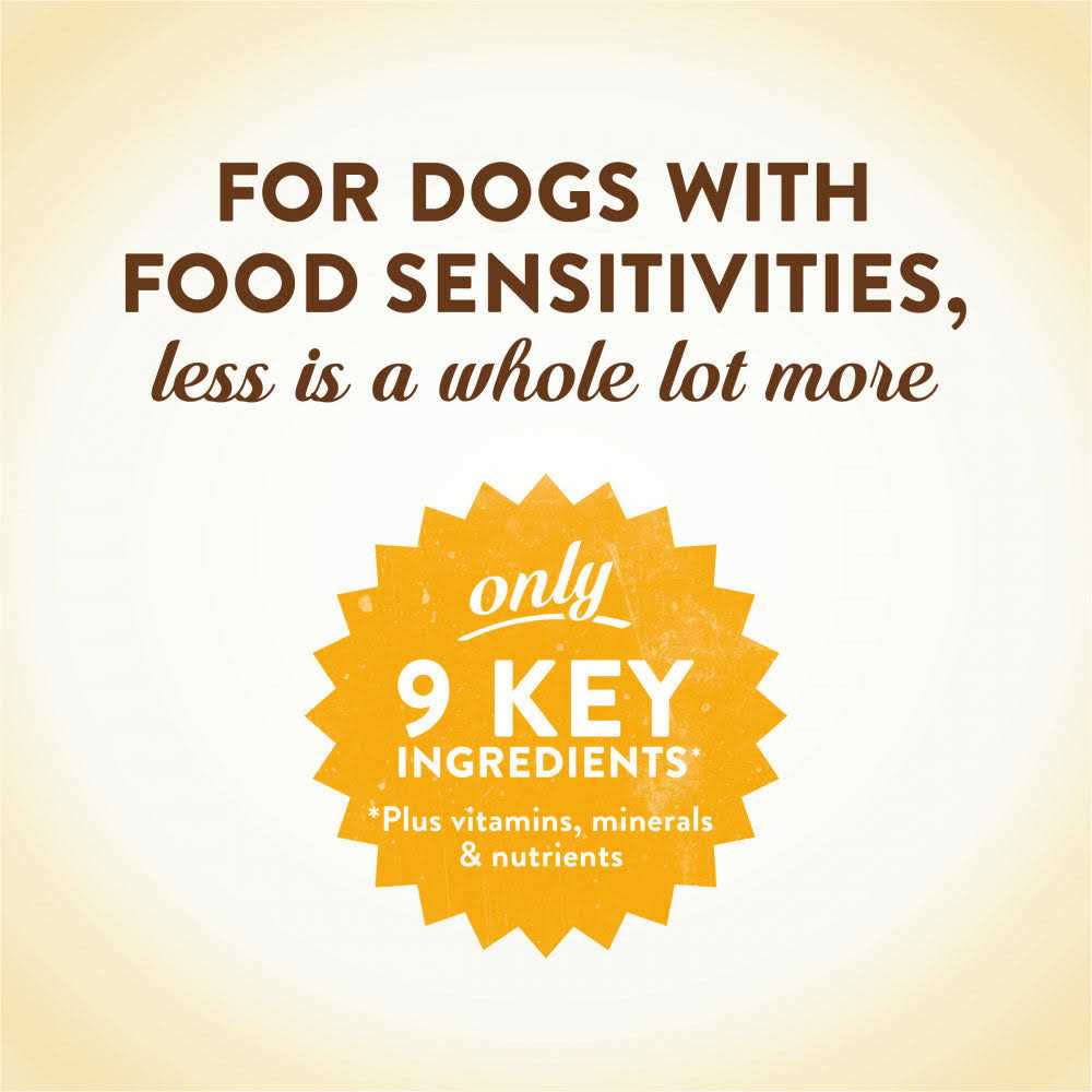 Chicken Recipe Dry Dog Food H496343