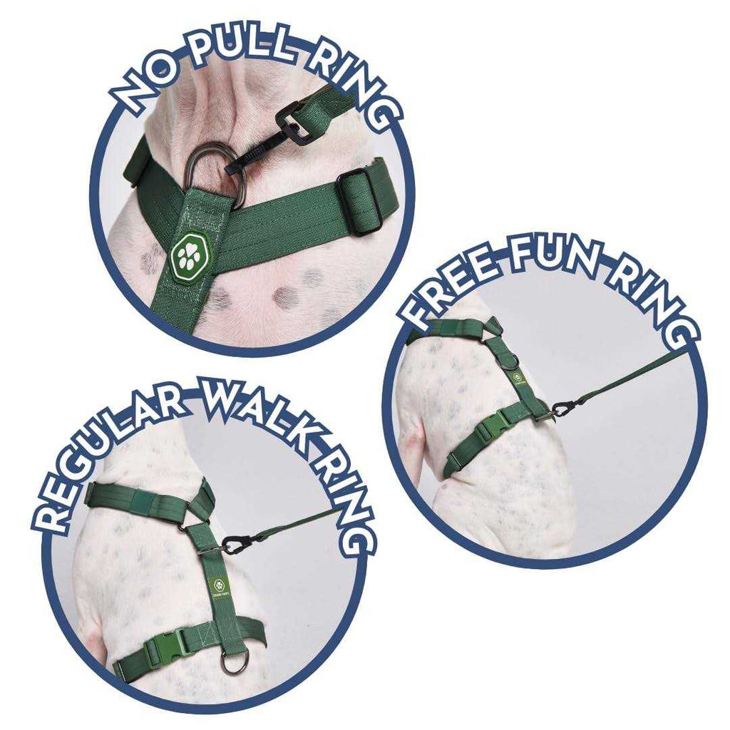 No-Pull Dog Harness X31279