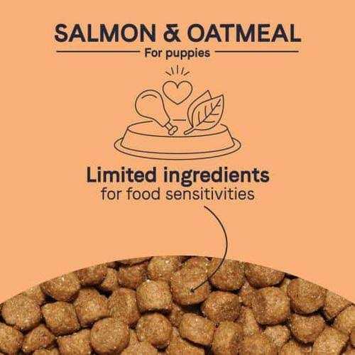 Salmon & Oatmeal Dry Dog Food D813