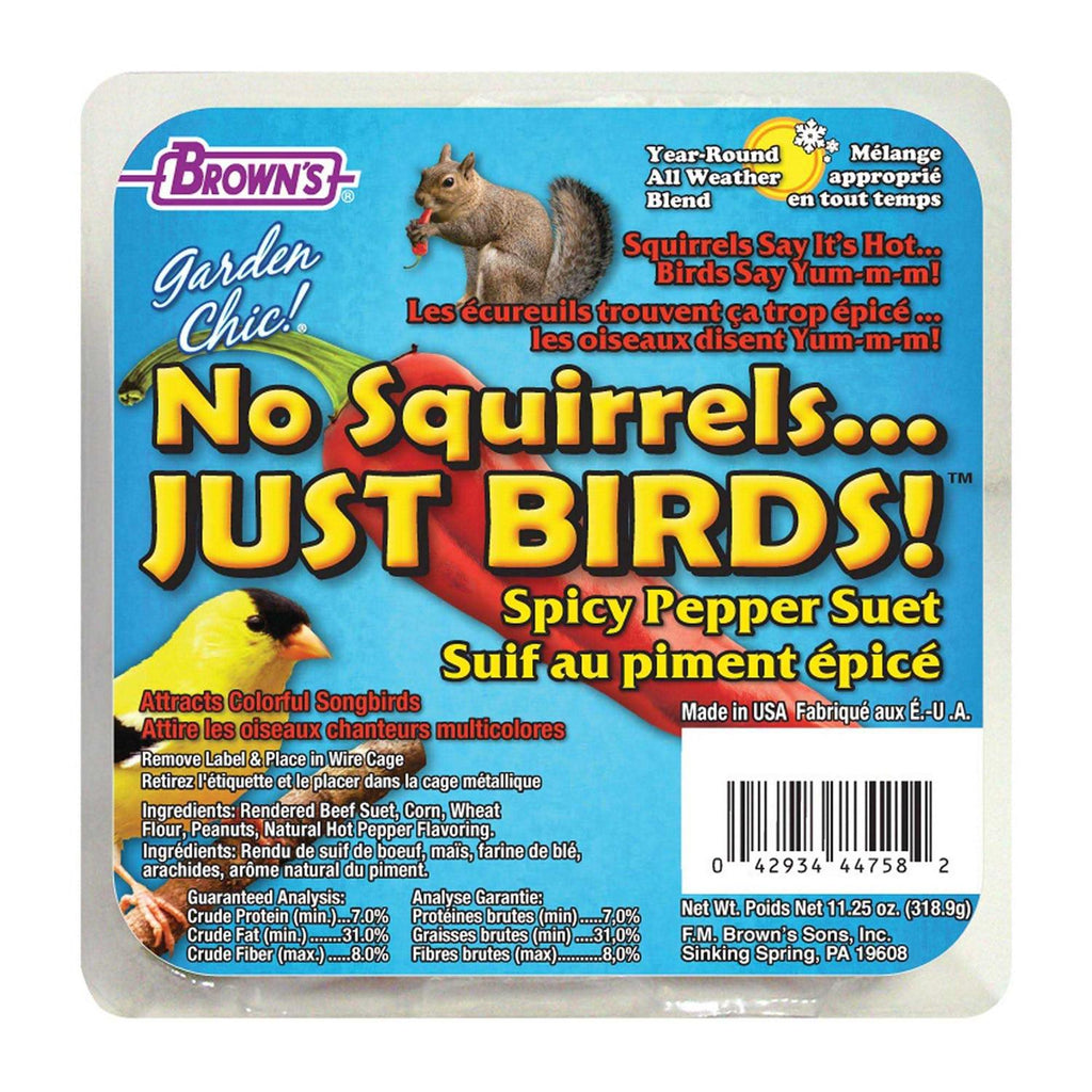 Spicy Pepper Suet Bird Food V5932