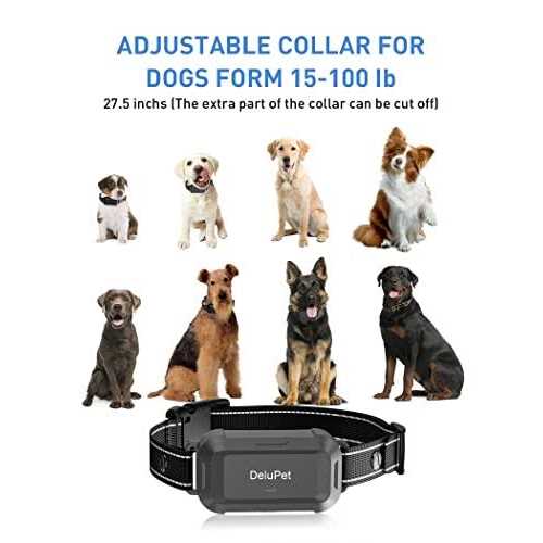 Dog Training Collar with Remote P8584