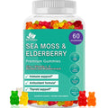 Sea Moss Elderberry Vitamin C D Zinc Vegan Gummies I1581
