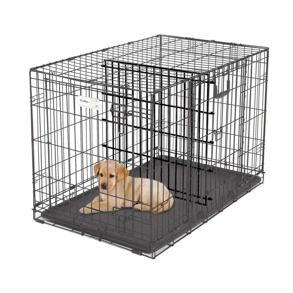 Double Door SUV Dog Crates P393687
