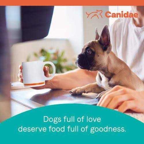 Salmon & Oatmeal Dry Dog Food D813