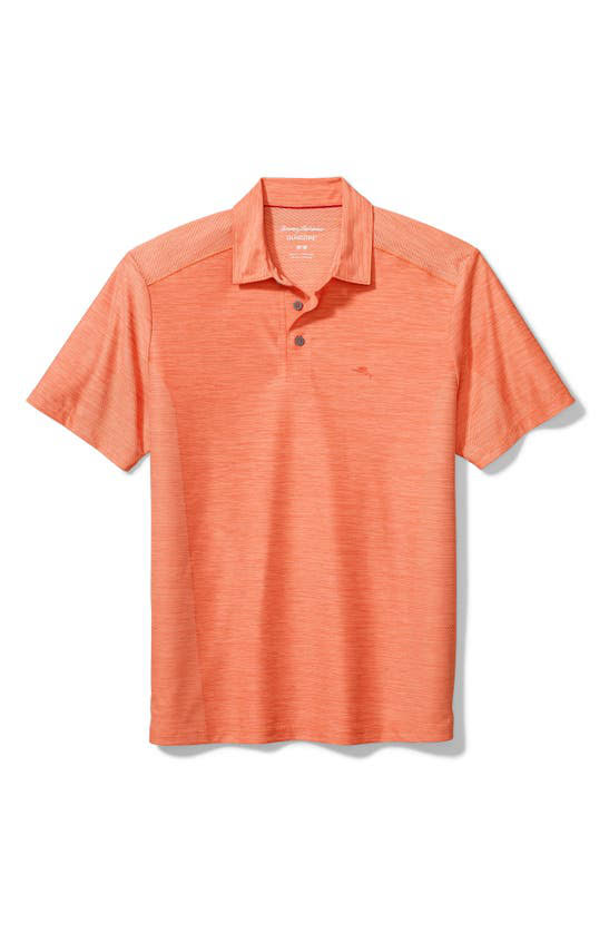 Peach Parrot Classic Fit Polo Y57676