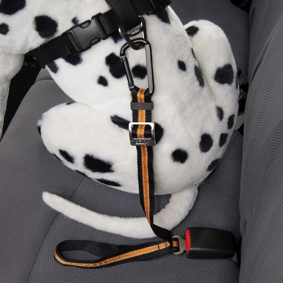 Pet Tether Y843