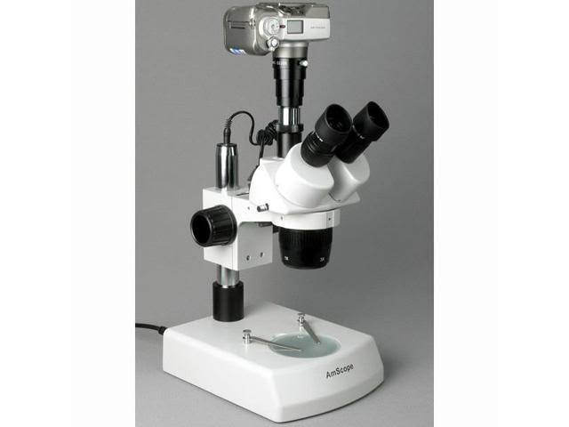 Trinocular Stereo Microscope, WH10x Eyepieces, 20x/40x/80x Magnification, 2x/4x Objective, Upper and Lower Halo L7747
