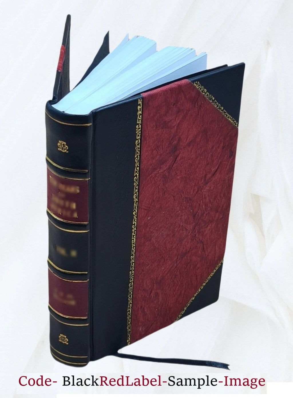 Fontainebleau Itinéraire de la forêt et des environs Leather Bound Z383277