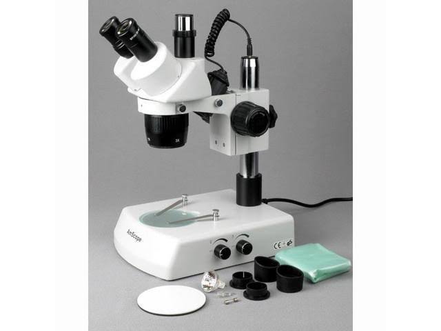 Trinocular Stereo Microscope, WH10x Eyepieces, 20x/40x/80x Magnification, 2x/4x Objective, Upper and Lower Halo L7747