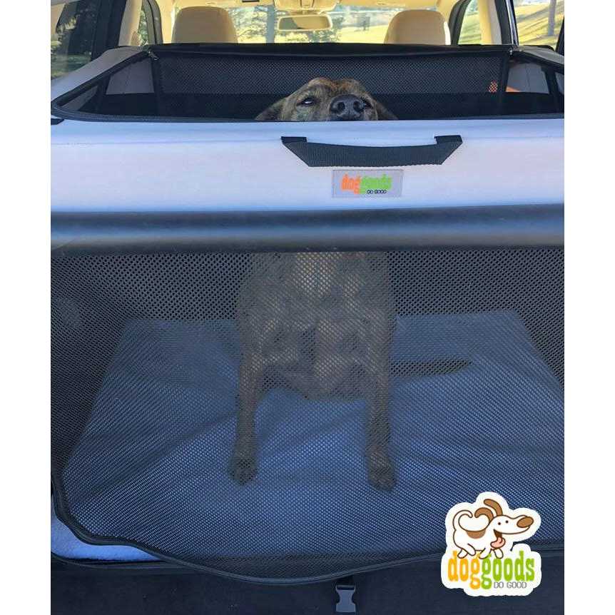 Foldable Travel Dog Crate E12594