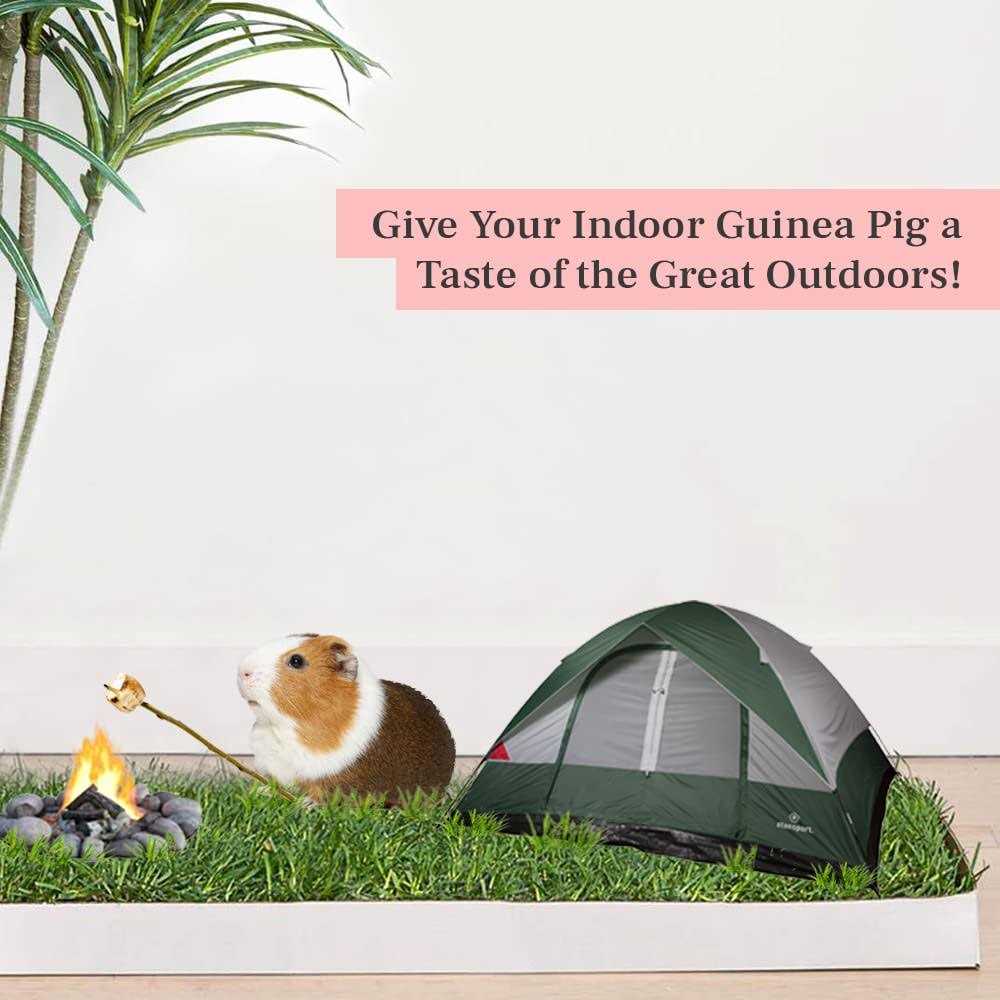 Pet Supplies P543298