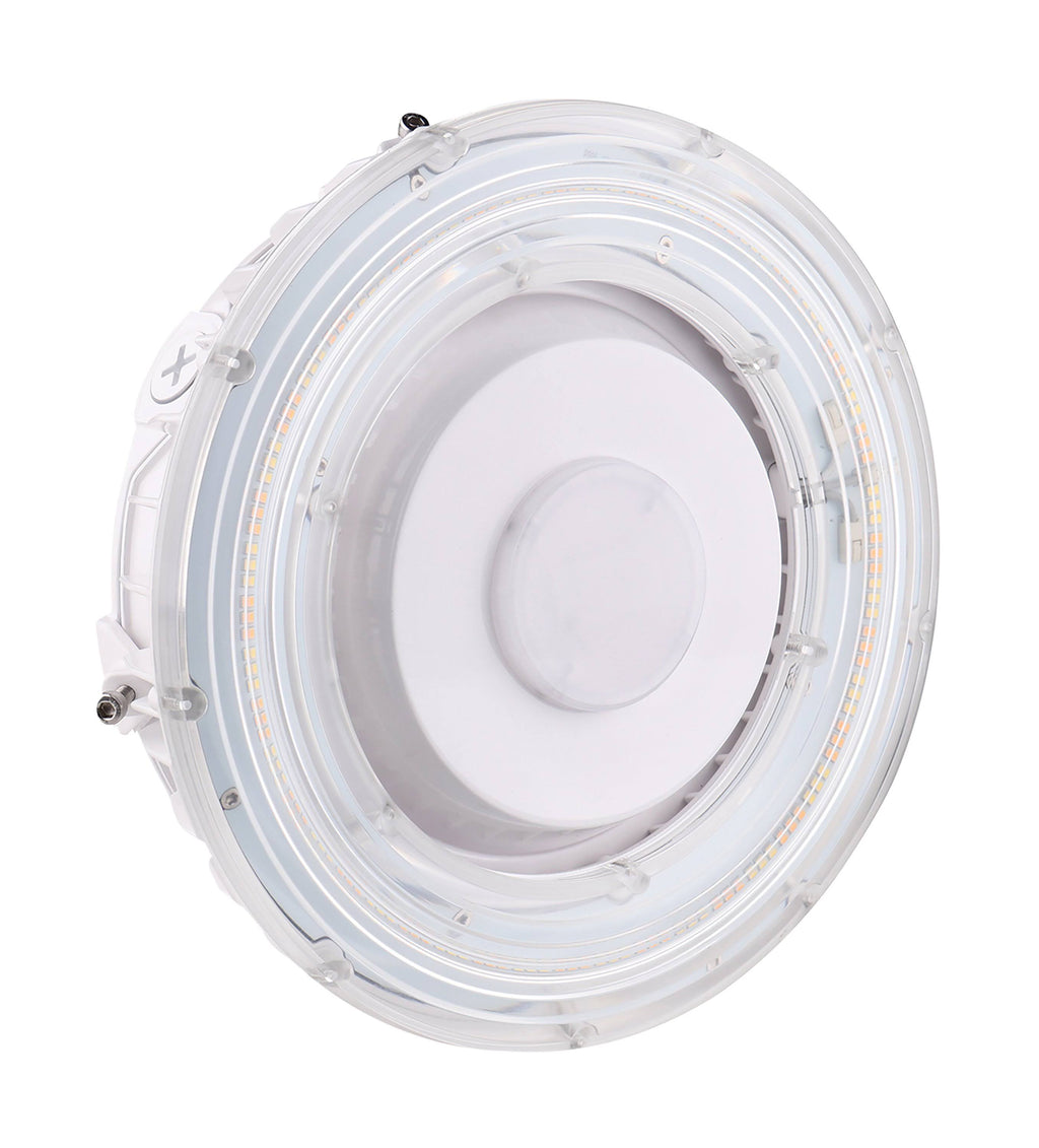 25W LED Canopy Light M296