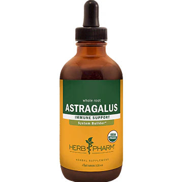 Astragalus S524673