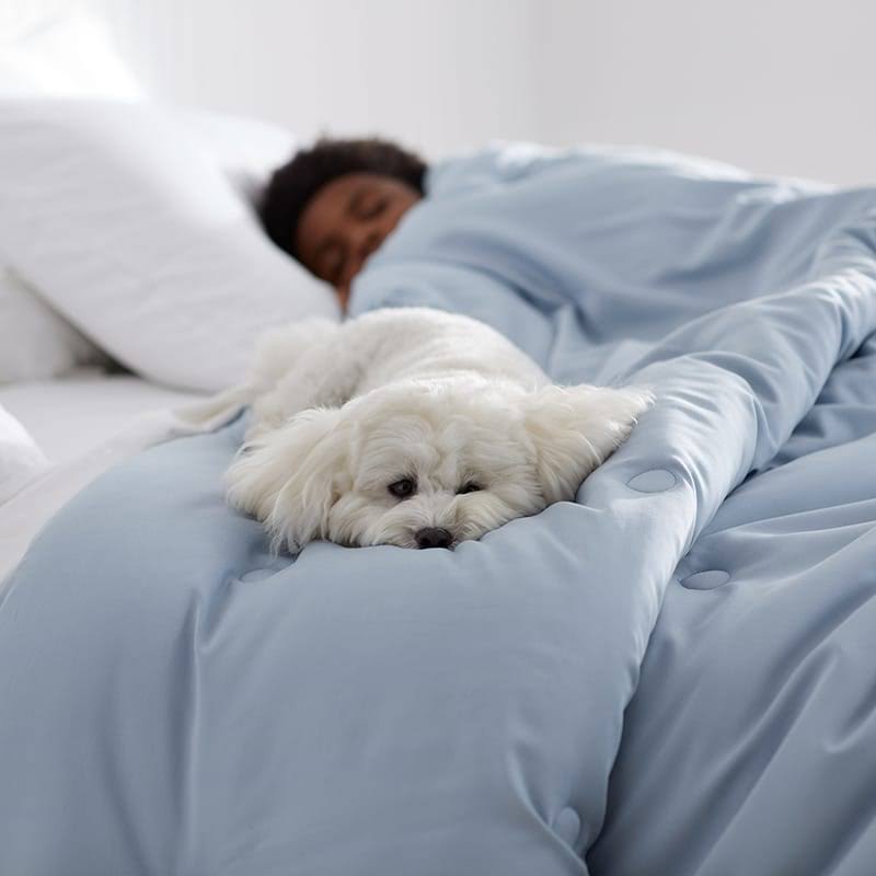 King Cotton Bamboo Sateen Comforter E219151