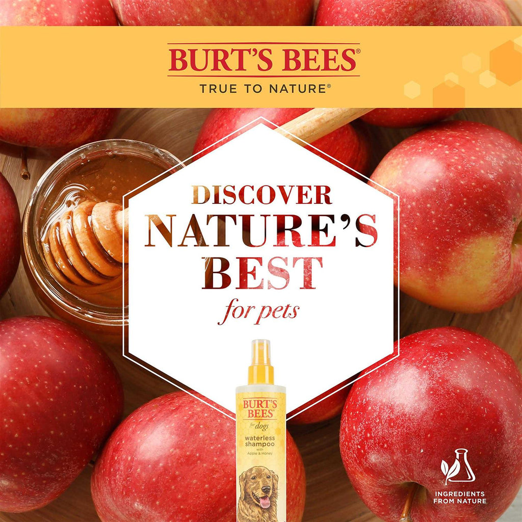 Waterless Shampoo with Apple & Honey H119