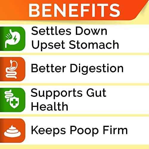 Pumpkin High Fiber Digestive Supplement for Dogs B8863
