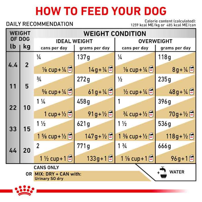 Urinary SO Dog Food H466323