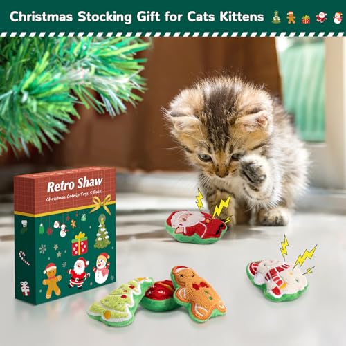 Catnip Cat Toys 5 Pack A45136