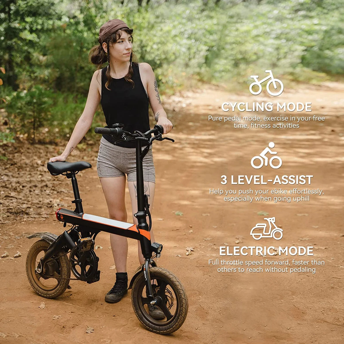 14 Folding Electric Bike with 350W Motor N1452