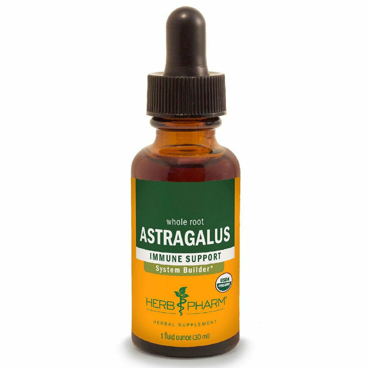 Astragalus S524673