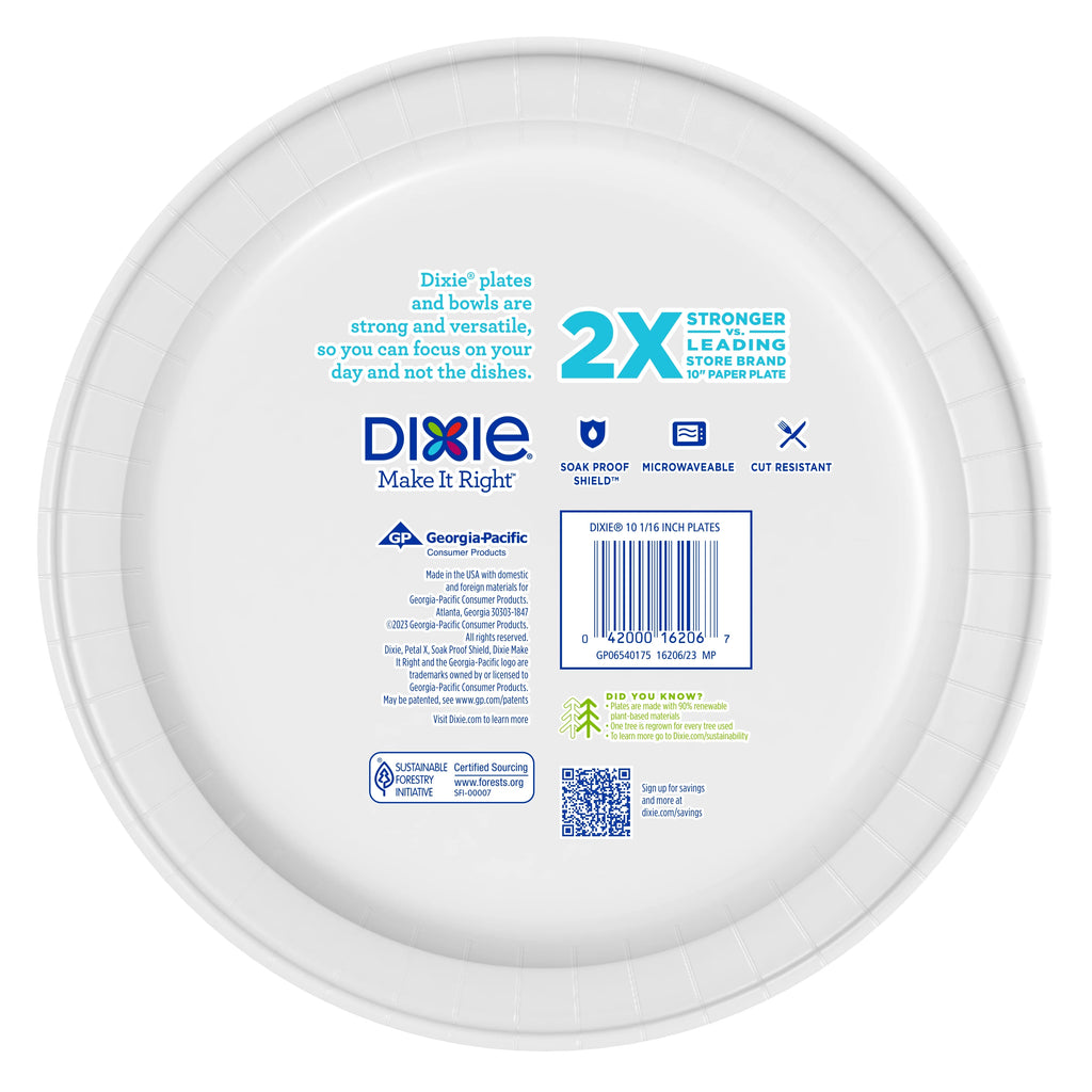 Multicolor 10 in Disposable Paper Plates, 100 Count E55563